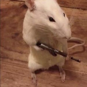 Meet your Posher, Adrian